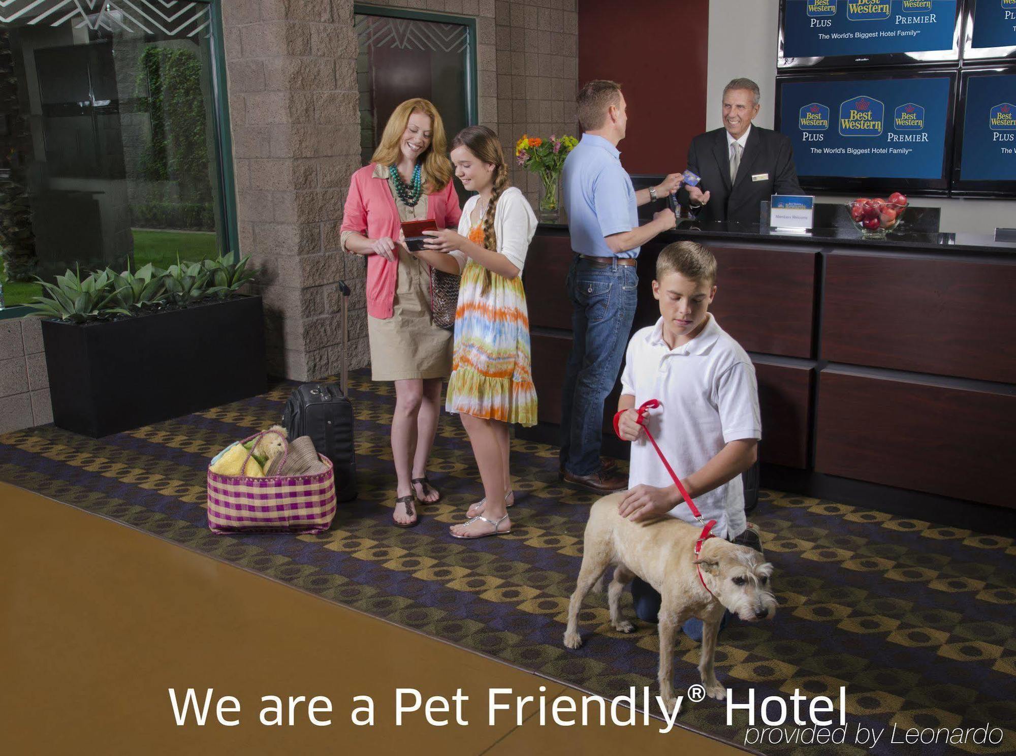 Best Western Socorro Hotel & Suites Eksteriør bilde